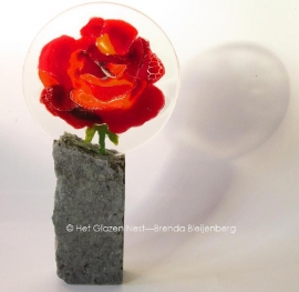 Rode roos op hoog stuk graniet
