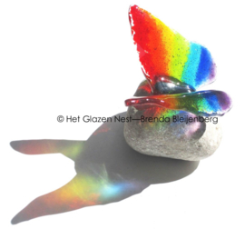 Regenboog vlinder in transparant glas