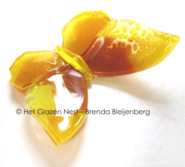 Kleine gele glazen vlinder