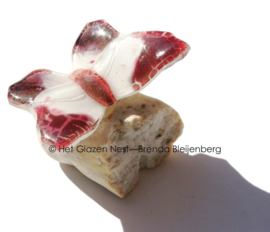 Wit en oud roze vlinder op steentje