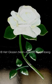 witte roos met ronde blaadjes als ornament