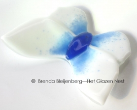 Witte vlinder met blauw lijf, ondoorzichtig glas