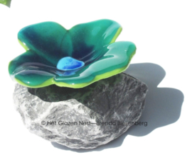 viooltje op steen in zee groene kleuren
