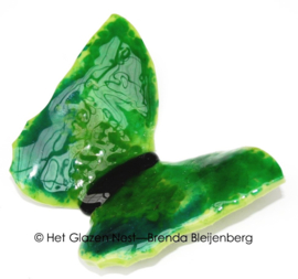 Vrolijke vlinder in grasgroene kleuren