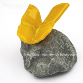 Vlinder op steen in rustig geel