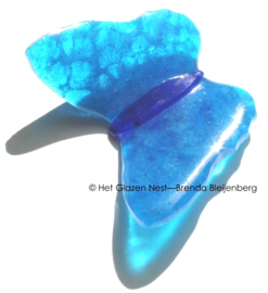Bijzondere aqua blauwe vlinder