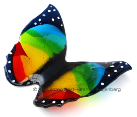 Grote vlinder in bonte kleuren