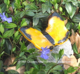 warm gele vlinder met zwarte randen