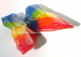 vlinder in regenboog kleuren