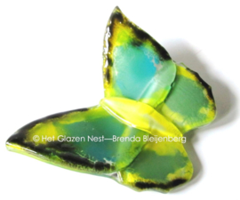 Groene vlinder met gele accenten