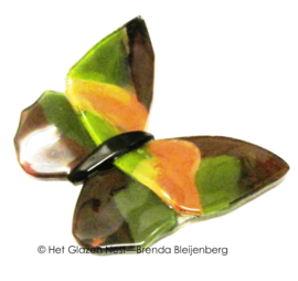 vlinder in leger groene kleuren