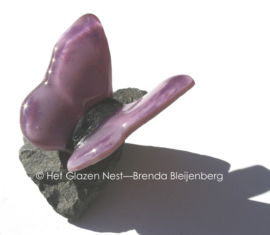 Kleine glasvlinder in oud paarse kleuren