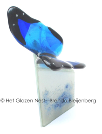 Blauwe vlinder op kleine witte urn