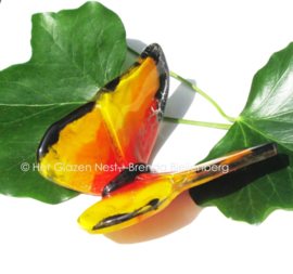 Oranje vlinder met zwarte randen