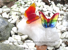 2 kleine vlinders op witte kristal