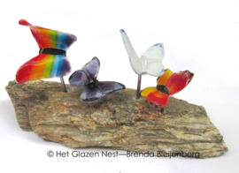 Kleurige vlinders op versteend hout