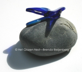 blauwe vlinder op blauw hartje