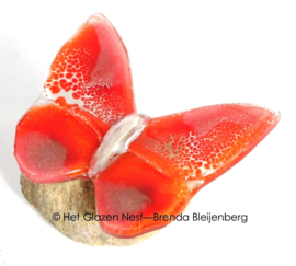Oranje vlinder met wit lijfje