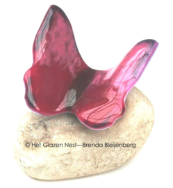 Roze glazen vlinder op kei
