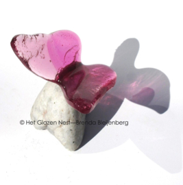 Kleine roze vlinder op kei
