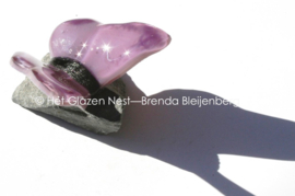 Kleine glasvlinder in oud paarse kleuren