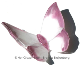 Grote witte vlinder met roze randen