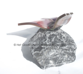 vlinder in Lila en oud roze op basalt