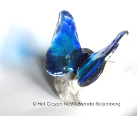 Speels blauwe vlinder in lichtdoorlatend glas