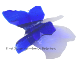 Kobalt blauwe vlinder in doorzichtig glas