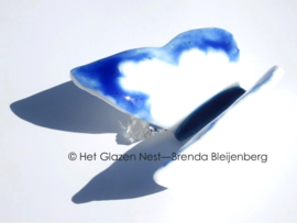 Witte glasvlinder met blauwe accenten