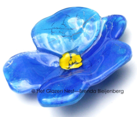 Blauw viooltje in grafkunst