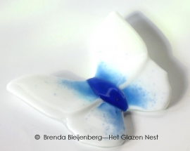 Witte vlinder met blauw lijf, ondoorzichtig glas