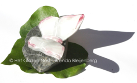 Kleine witte vlinder met roze randen