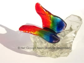 Speelse vlinder in regenboog glas