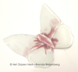Witte vlinder met roze accenten