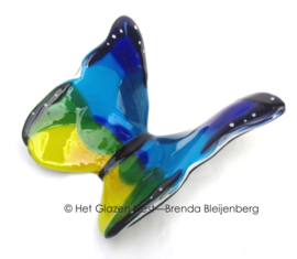 Grote glas vlinder in blauw, geel en groen