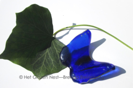kleine vlinder in blauwe kleuren