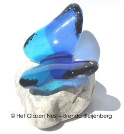 vlinder in blauw met zwart randje