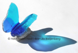 Glasvlinder in aqua en blauwe kleuren