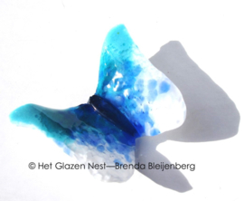 Zeegroen en aqua vlinder