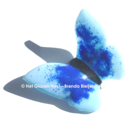 Aqua vlinder met blauwe accenten