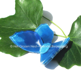 klein blauw vlindertje