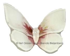 Wit en roze glazen vlinder met spitse vleugel