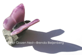 Kleine glasvlinder in oud paarse kleuren
