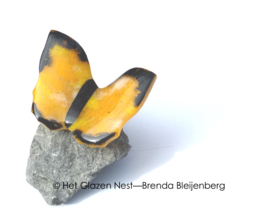warm gele vlinder met zwarte randen