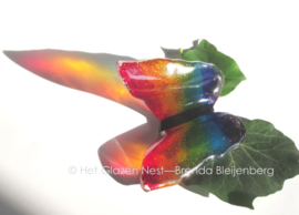 Regenboog vlinder in doorzichtig glas