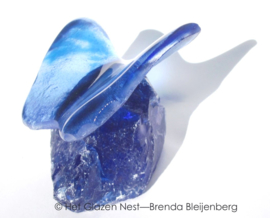 Speels blauw vlindertje op blauw glas