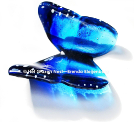 Blauwe glas vlinder