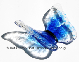 Blauwe vlinder in doorzichtig glas