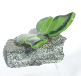 Grasgroene vlinder op groene steen